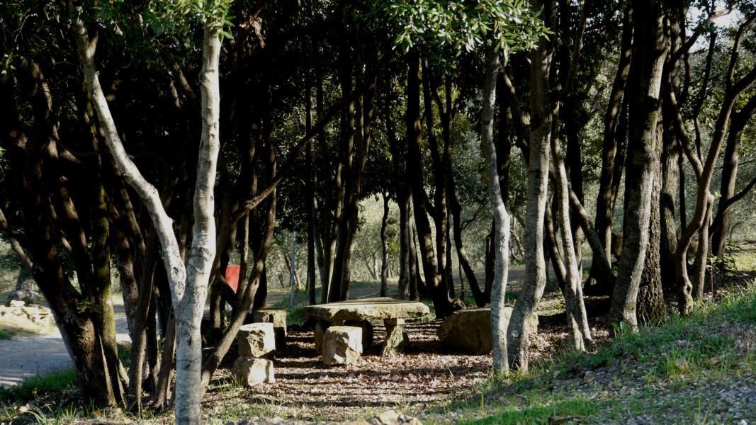 Camping Le Soline Casciano Di Murlo 外观 照片