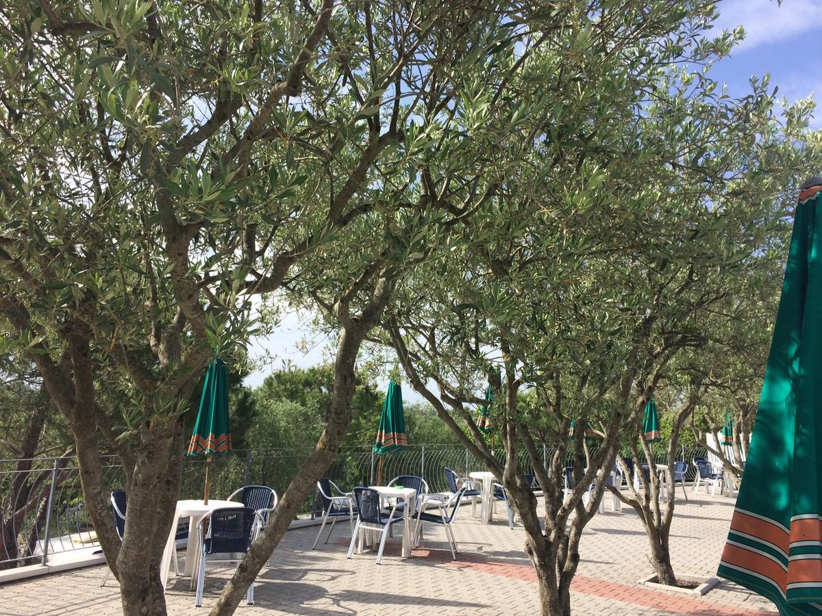 Camping Le Soline Casciano Di Murlo 外观 照片