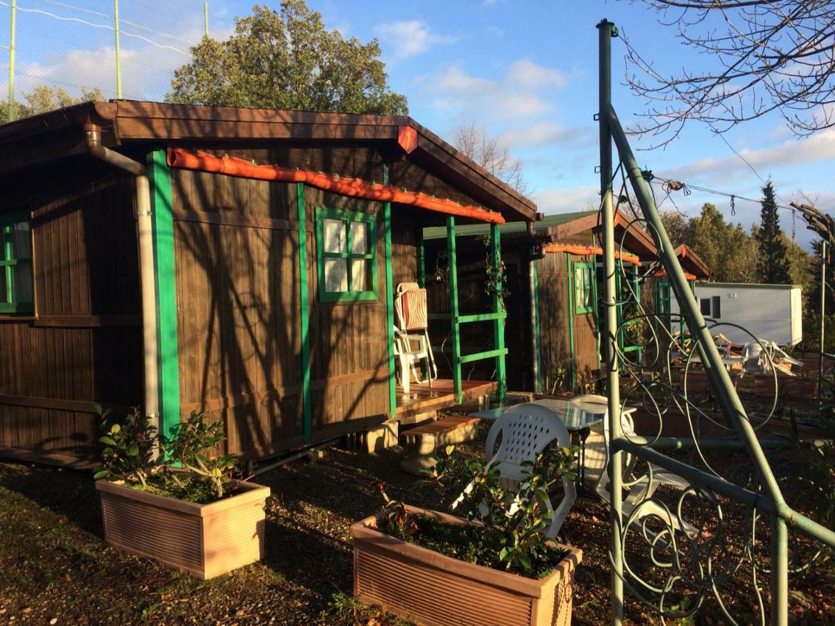 Camping Le Soline Casciano Di Murlo 外观 照片