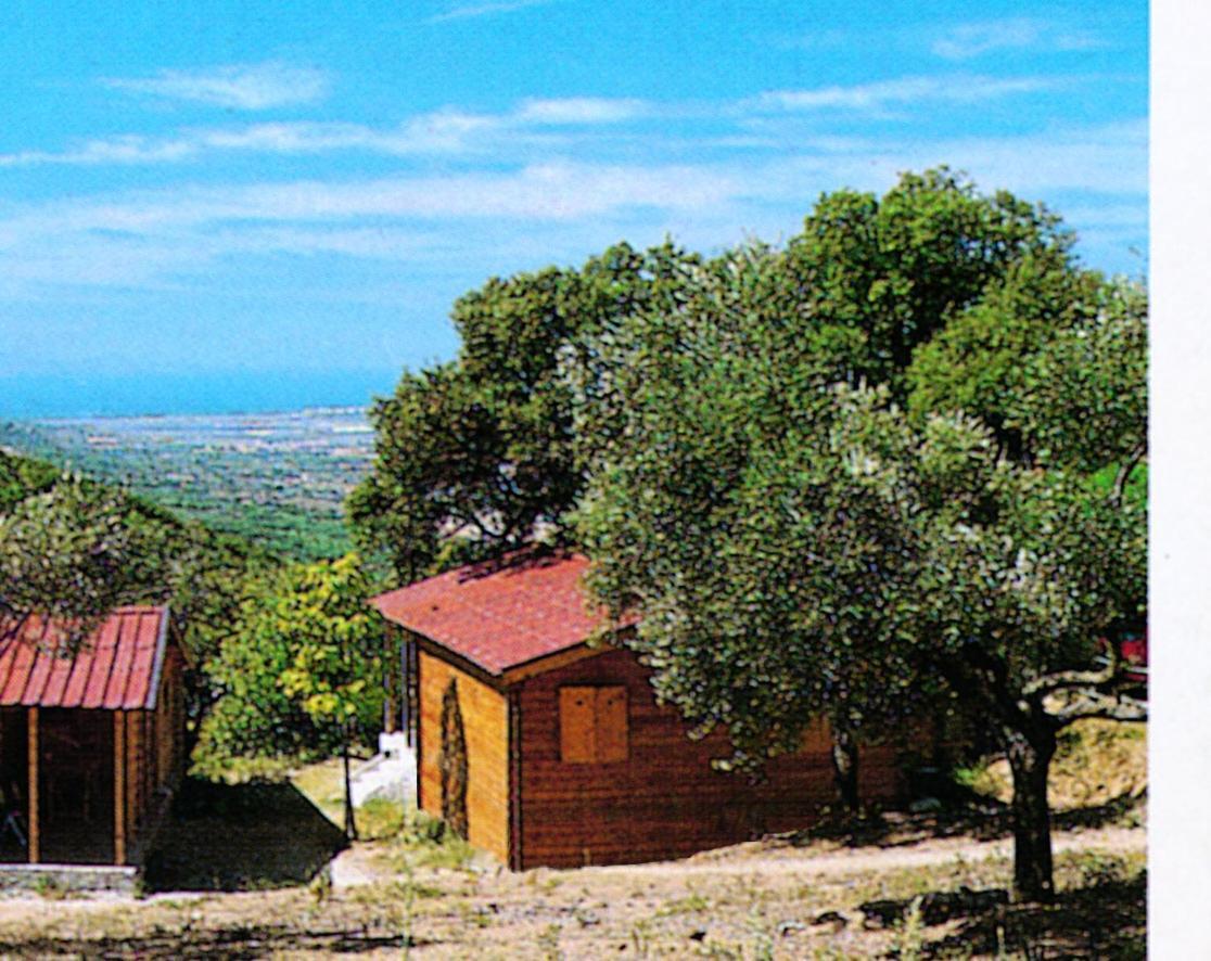 Camping Le Soline Casciano Di Murlo 外观 照片